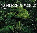 WONDERFUL WORLD regular.jpg