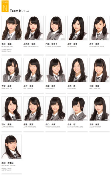 File:NMB48TeamN2013ver2.png