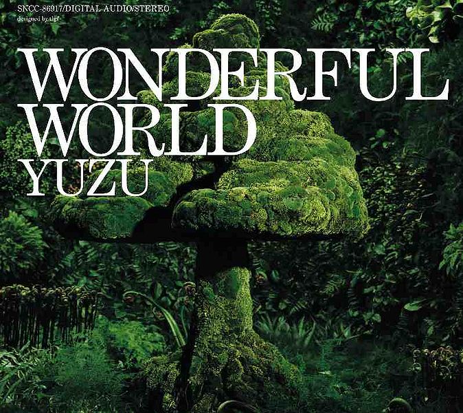 File:WONDERFUL WORLD limited.jpg