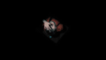Thumbnail for version as of 20:34, 27 April 2021