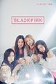 BLACKPINK - BLACKPINK PLAYBUTTON.jpg