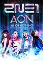 2NE1 ALL OR NOTHING in JAPAN DVD.jpg