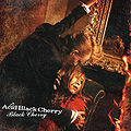 Acid Black Cherry Black Cherry (CDDVD).jpg