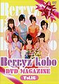 BerryzKoboDVDMagazine16.jpg