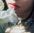 Thumbnail for version as of 04:29, 11 October 2025