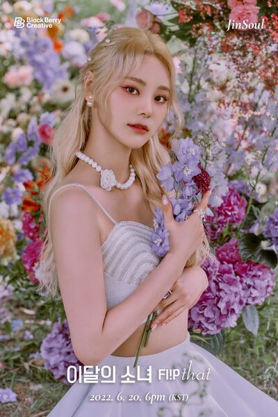 File:JinSoul - Flip That promo.jpg
