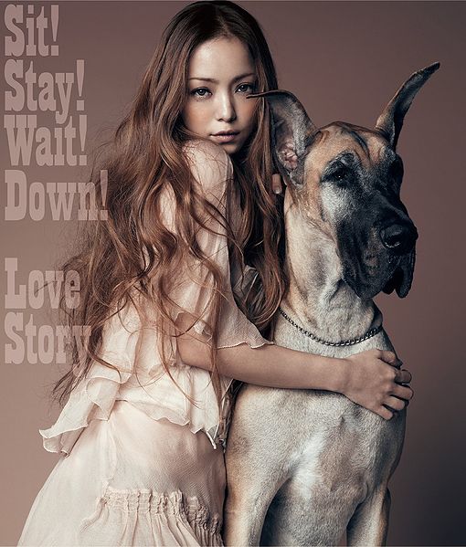 File:SitStayWaitDownDVD.jpg