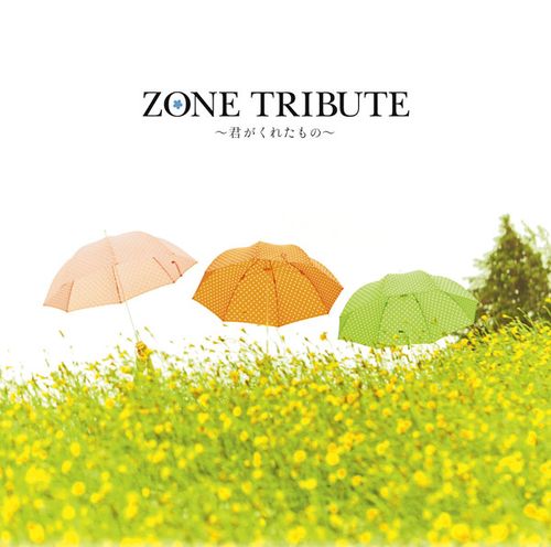 ZONE Tribute ~Kimi ga Kureta Mono~