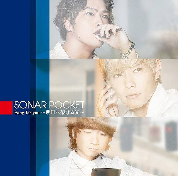 File:SongForYou (DVD).jpg