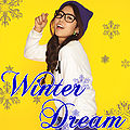 Thumbnail for version as of 22:19, 27 January 2014