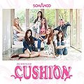 SONAMOO - CUSHION (Regular).jpg