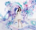 ChouCho - ChouCho ColleCtion bouquet lim.jpg