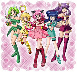 Mint no CD Desu wa!, Tokyo Mew Mew Wiki