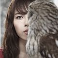 Thumbnail for version as of 13:49, 22 September 2013