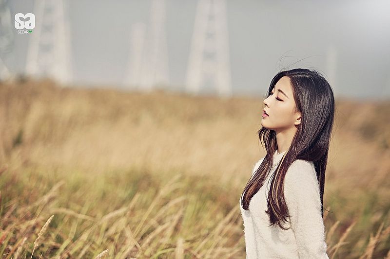 File:SEEART Su A.jpg