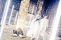 GARNiDELiA - BiRTHiA promo2.jpg