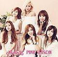 Apink - Pink Season (Limited B).jpg