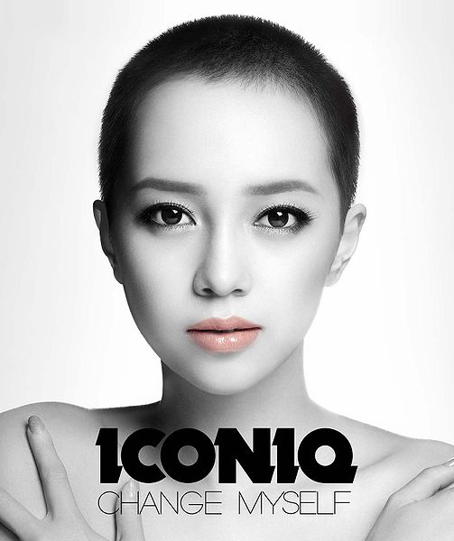 File:Iconiqcddvd.jpg