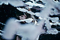 Aimer - Akane Sasu everlasting snow promo 2.jpg