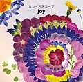 joy Kaleidoscope Cover.jpg