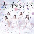 Kobushi Factory - Seishun no Hana reg A.jpg