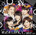 C-ute - GamushaLIFE EV.jpg