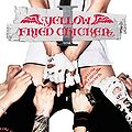 YELLOW FRIED CHICKENz CD.jpg