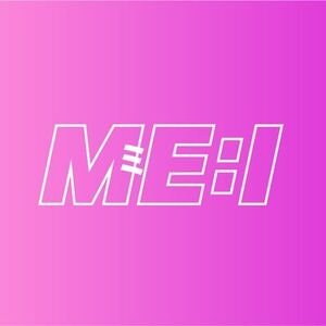 MEI logo.jpg