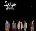 ARASHI - Lotus reg.jpg