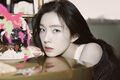 Irene - Birthday promo.jpg