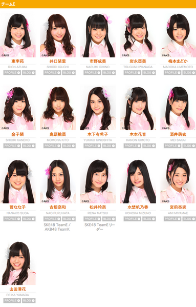 File:TeamE2013Sep.png