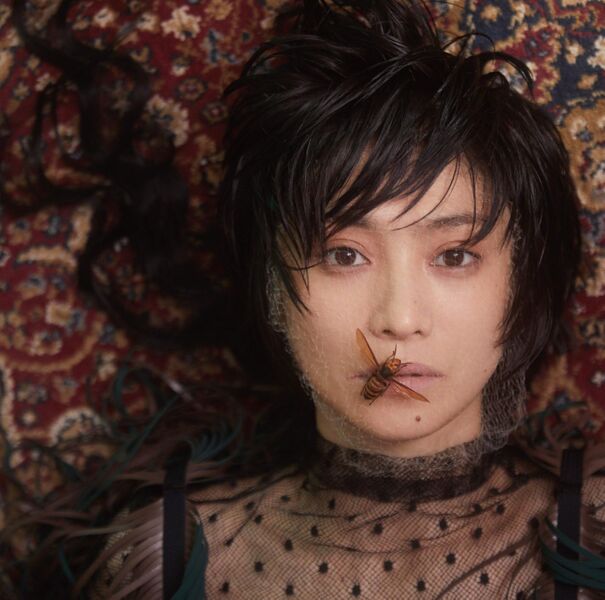 File:Chihiro Onitsuka Hinagiku Regular And Blu-Ray Cover.jpg