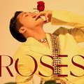 Ravi - ROSES.jpg