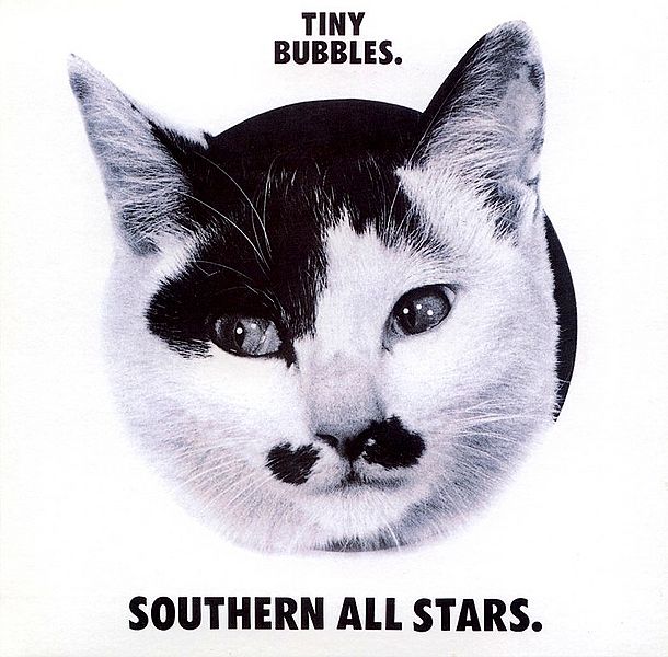 File:Tiny Bubbles.jpg