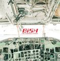 BiSH - THE GUERRiLLA BiSH lim.jpg