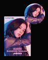 BLACKPINK - BLACKPINK IN YOUR AREA PLAYBUTTON JISOO Ver.jpg