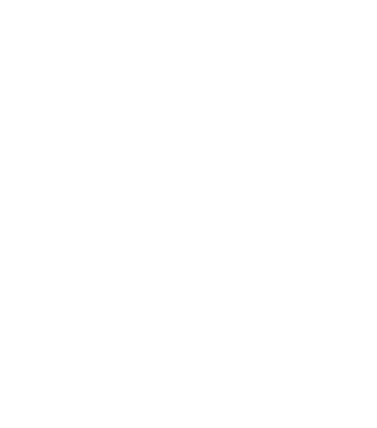 File:iii logo white.png
