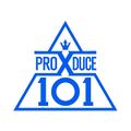 Produce X101 logo white.jpg