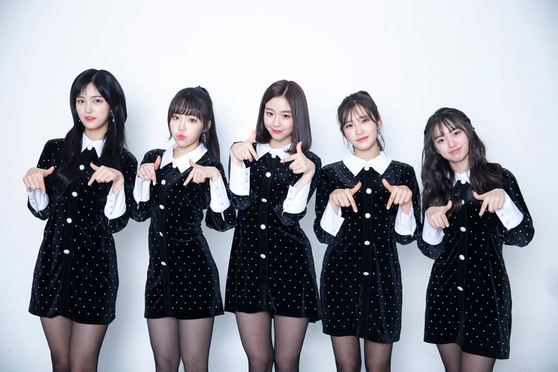 File:BUSTERS 2019.jpg