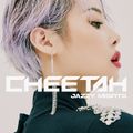 Cheetah - Jazzy Misfits.jpg