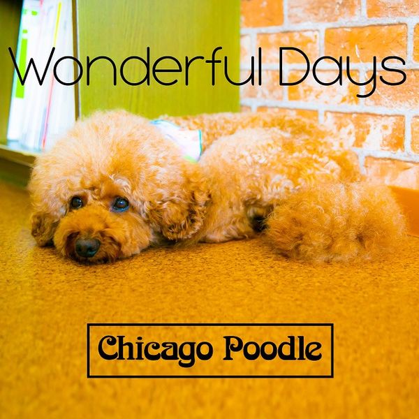 File:Chicago Poodle Wonderful Days.jpg