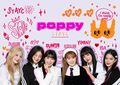 STAYC - POPPY UNIVERSAL.jpg