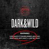 BTS - DARK & WILD.jpg