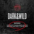 BTS - DARK & WILD.jpg