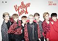 VAV - BROTHERHOOD promo.jpg