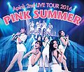 apink2ndtour1.jpg