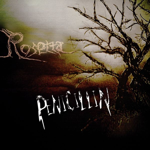 File:PENICILLIN - Rosetta LimA.jpg