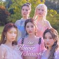 DIA - Flower 4 Seasons.jpg