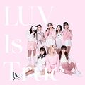 Pink Fantasy - Luv Is True (Luvit).jpg