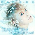 VALSHE - TRANSFORM reg.jpg